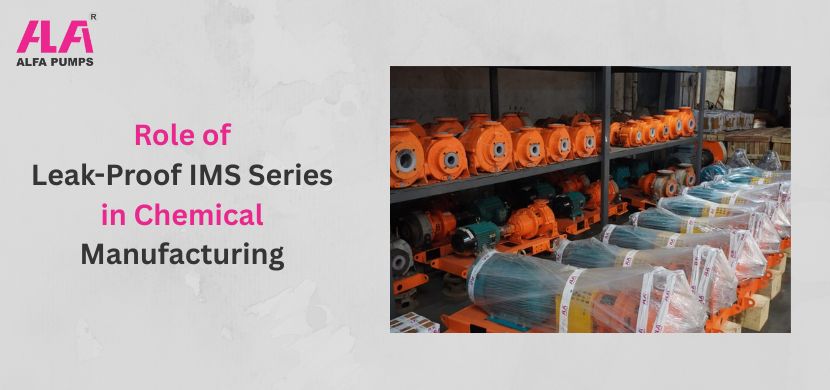 Role of Leak-Proof IMS Series in Chemical Manufacturing (1)